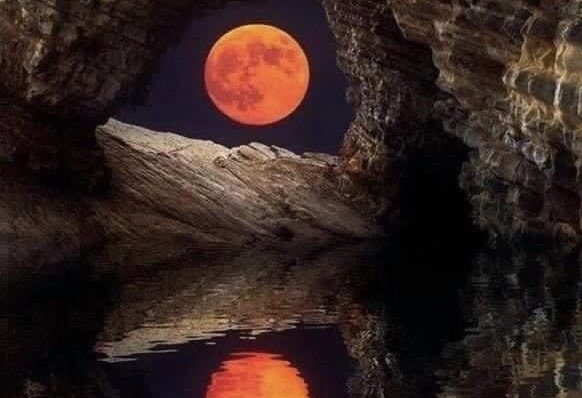 Пусть шуршит колесо Фортуны