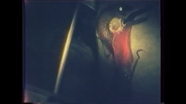 Zdzisław Beksiński - Master's Dialogue with Death смотреть онлайн