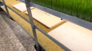 Комплекс по выращиванию ГЗК (гидропонный зеленый корм)