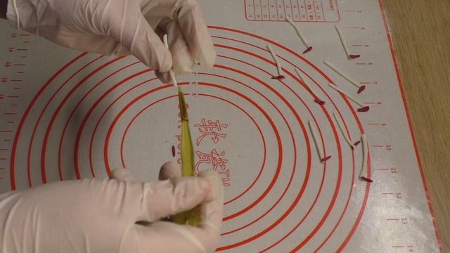 Лилии из мастики