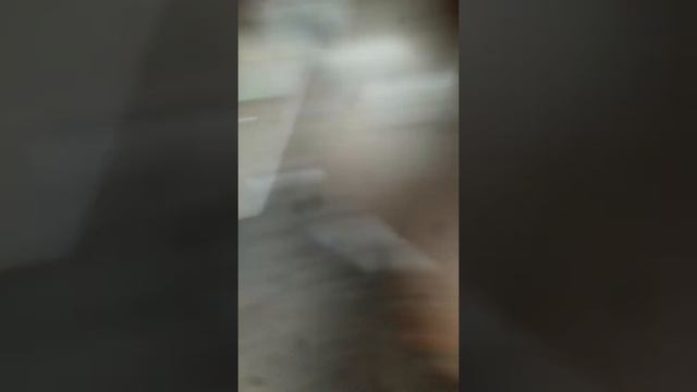 обзор на самокат за 6 касарей