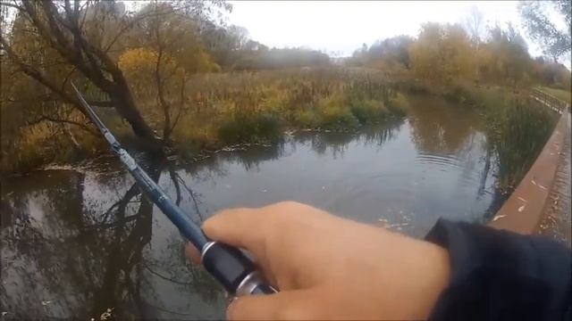 1 Рыбалка рядом с домом Медведково Джамгаровский пруд смотреть онлайн