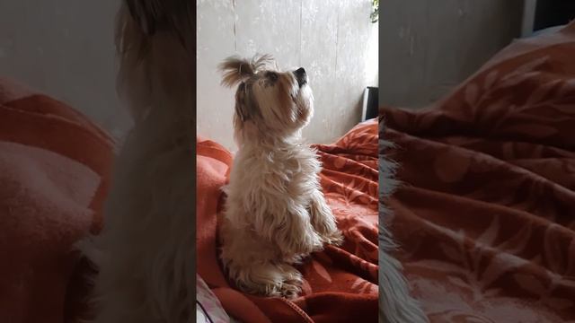 Накосячил смотреть онлайн