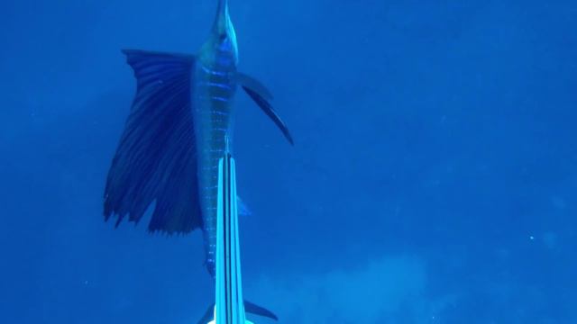 iSpearo.com – Who Are We? смотреть онлайн