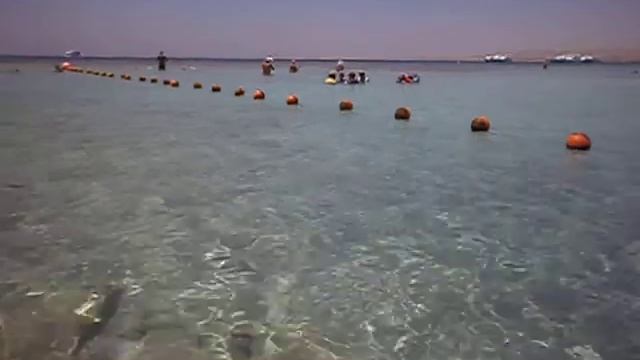 Коралловый пляж Шарм Эль Шейха смотреть онлайн