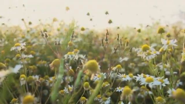 Рыбаки(ПРИТЧА) смотреть онлайн