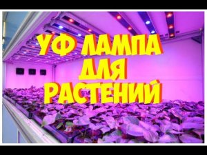 УФ ЛАМПА ДЛЯ РАСТЕНИЙ   Ультрафиолетовая лампа