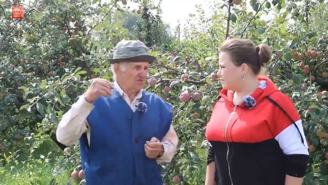 Сад на карликовых подвоях смотреть онлайн