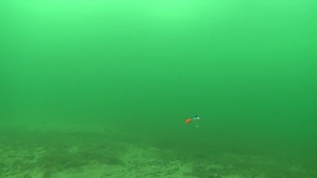 Балансир Strike Pro Ice Baby 24 (IF-005) смотреть онлайн