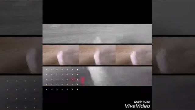 КАК СДЕЛАТЬ ТУАЛЕТНУЮ БУМАГУ!/ARTIK SHOW ! смотреть онлайн