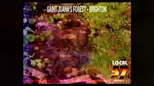 What are The Walten Files?