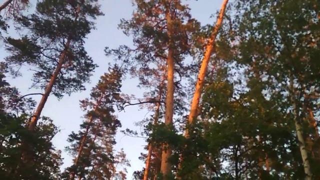 24 июня Юноша бледный со взором горящим смотреть онлайн