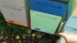 Зимовка в Пеноуликах с верхней вентиляцией