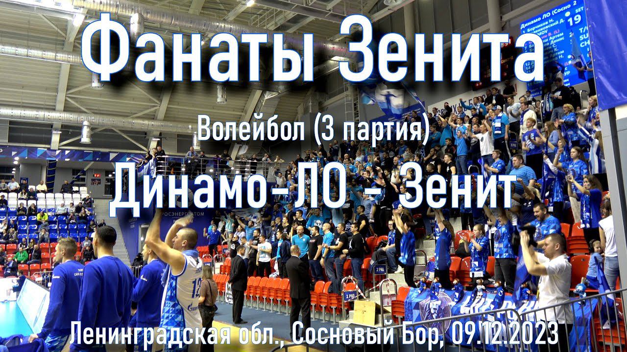 Поддержка на волейболе в 3 партии "Динамо-ЛО"-"Зенит" 09.12.2023. смотреть онлайн