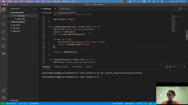 Go Fiber: Struct Validator смотреть онлайн