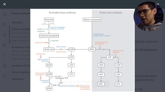 Best All In One MedSchool Study Tool? AMBOSS Walkthrough смотреть онлайн