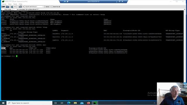 VMware NSX-T Logical Switches. Part 2. THE DEMO.. смотреть онлайн