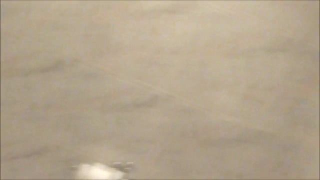 Максим Чечнев в гостинице в Алмате смотреть онлайн