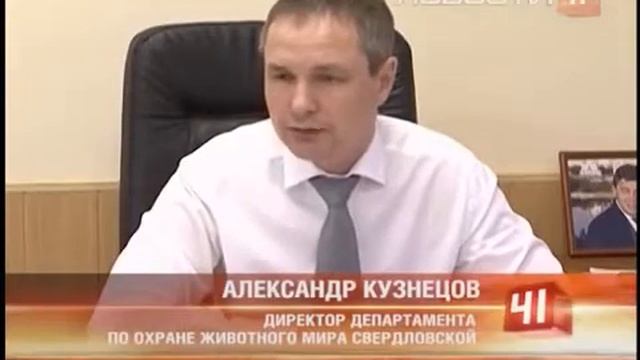 борьба охотников за свои права смотреть онлайн