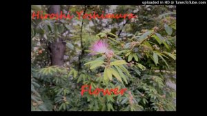 Flower 【Hiroshi Yoshimura　Music】