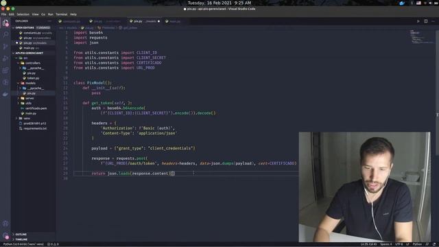 INTEGRAÇÃO API PIX EM PYTHON + GERENCIANET смотреть онлайн