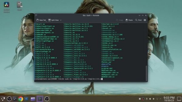 Resolve Linux Fix for dependency errors