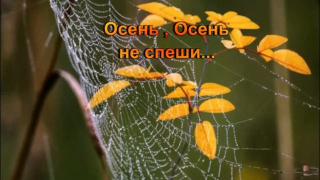 « Осень , Осень не спеши...» смотреть онлайн