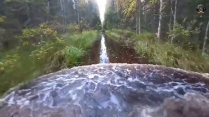 Обзор канала Герасим Шерп