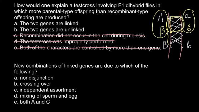 Testcross and gene linkage смотреть онлайн