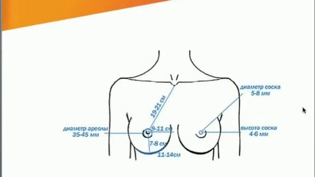 Секреты Творческого Саморазвития