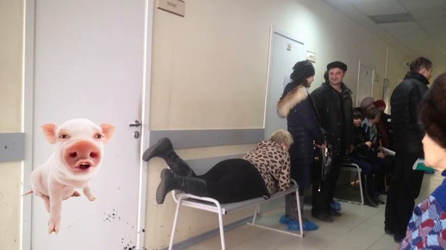 Кабан - пятак в поликлинике) приколюха) смотреть онлайн