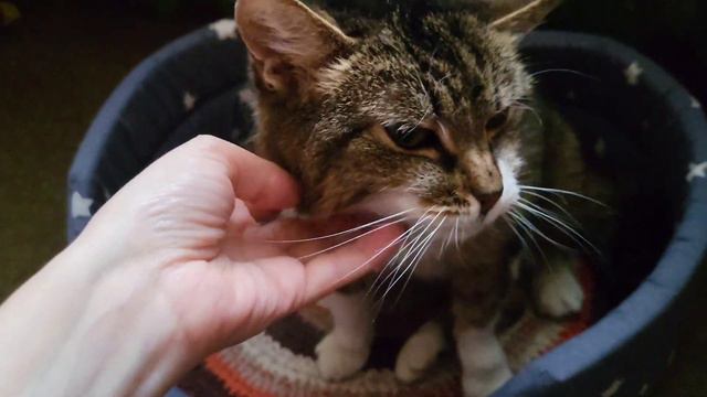 VLOG Нас затопило. 26.03.2023