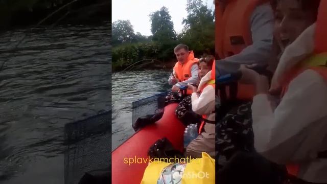 Рыбалка река Быстрая. Камчатка. смотреть онлайн