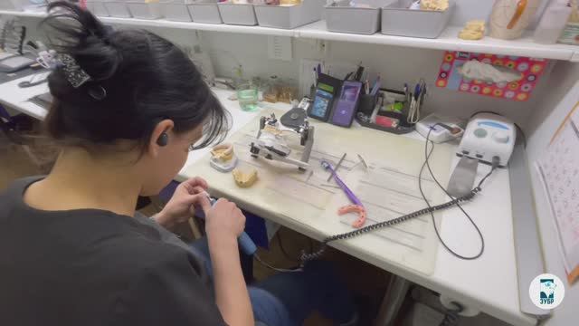 Рабочий день зубного техника Зубра. Часть 1.