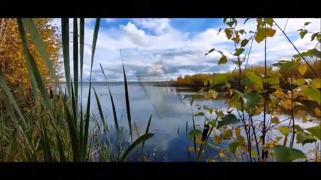 Охота на рябчика с манком./Как правильно подходить к рябчику./Манок №17. смотреть онлайн