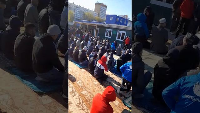 Мачиди Челябинск каширинскый рынок смотреть онлайн