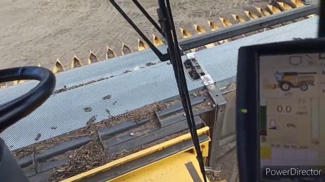 Обзор сенсорного дисплея AFS PRO 700 на комбайне New Holland CX 8.80. Сезон 2020 смотреть онлайн