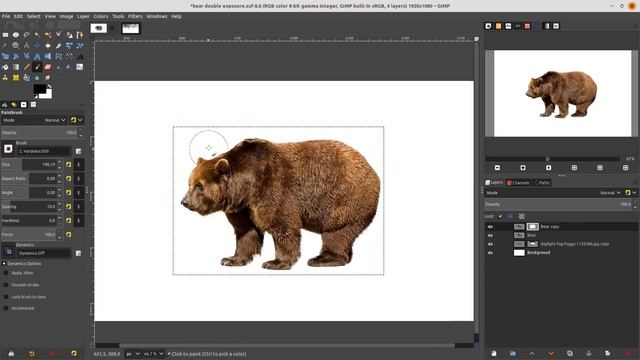 GIMP Tutorial : Double Exposure Bear Photo Manipulation