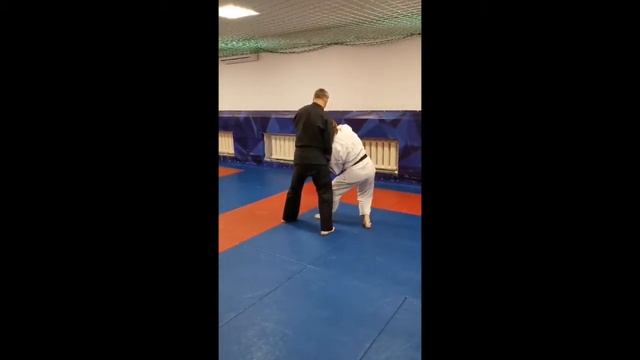 Кихон айкидо кокюнаге смотреть онлайн