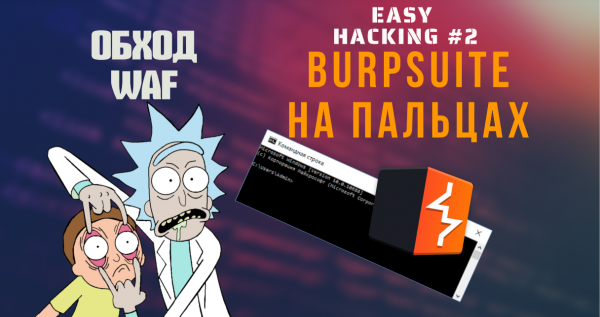 EasyHacking - Burpsuite. Часть 2я.