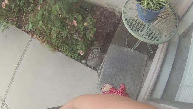 POV : The Wand of Change (Body Swap) смотреть онлайн