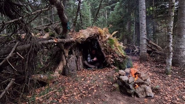 Building a Bushcraft Shelter That Resists Wild Animals and Bad Weather - Rain Camping in Jungle смотреть онлайн