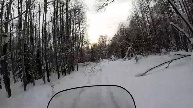 Поездка в избушку на снегоходе Yamaha / Отдых на природе / Избушка в лесу / shed in a woods /campin смотреть онлайн