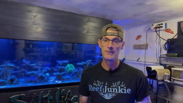 Frag Tank Tips - Coral Quarantine Tank Setup - The Low Cost and High Cost Easy Way смотреть онлайн