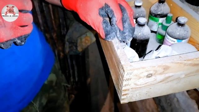 Миллион на свиньях.Забой свиньи .Наводим порядки . смотреть онлайн