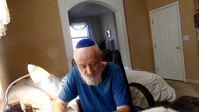 Скажите про реинкарнацию животных люди превращаются в животных нешама у них есть в это время?Ruslan