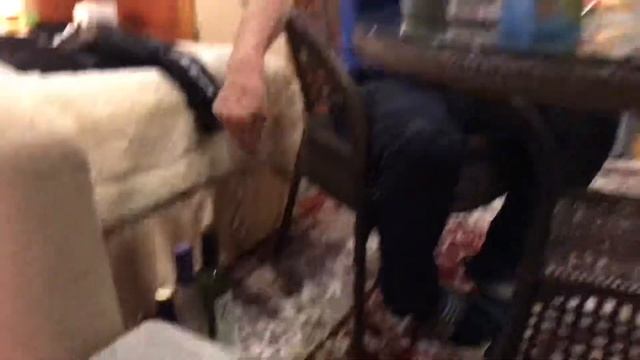 Вечеринка в Чепош парке 3 марта 2019 смотреть онлайн