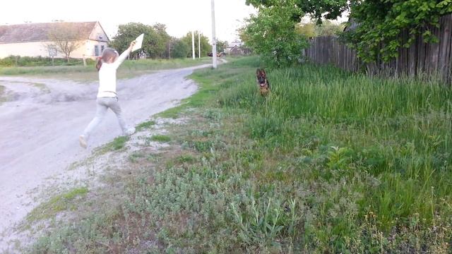 Щенок Немецкой Овчарки 4 месяца.Хан смотреть онлайн