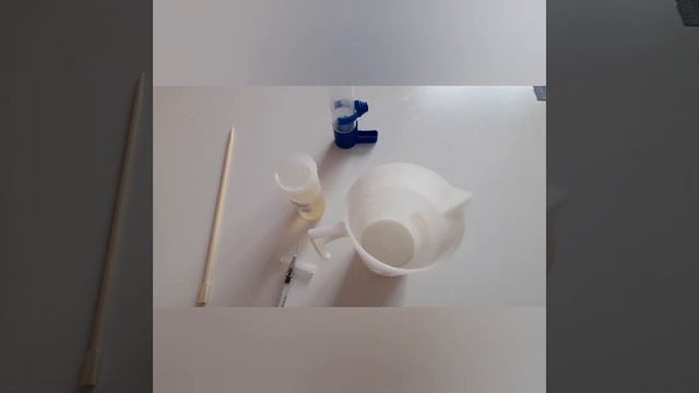 Заболел попугай. Захварэў папугай. The Parrot Got Sick. Захворів папуга. Chora Papuga.