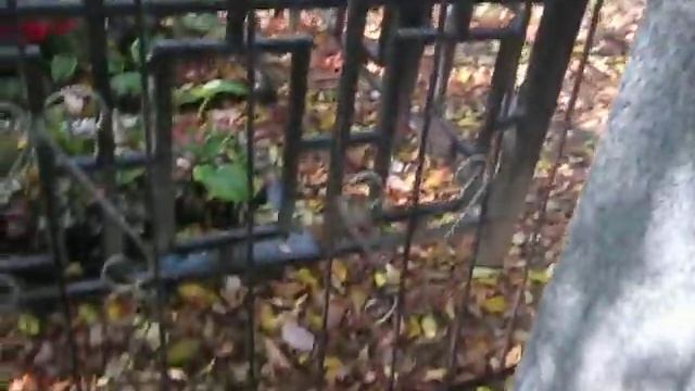 могила Варлама Шаламова. смотреть онлайн